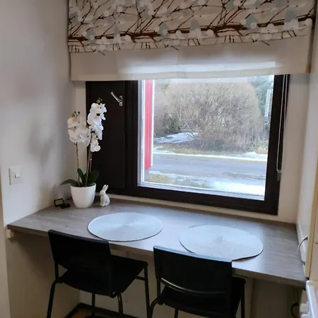 Apartment Huoneisto Keskustassa *
