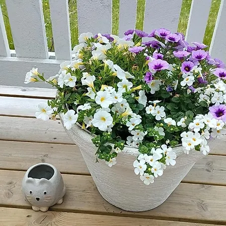 Keskustassa Apartment Alajärvi