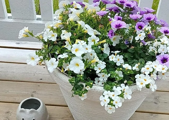 Keskustassa Appartement Alajärvi